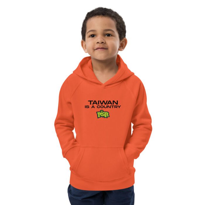 Taiwan is a Country - Kids eco hoodie - Image 5