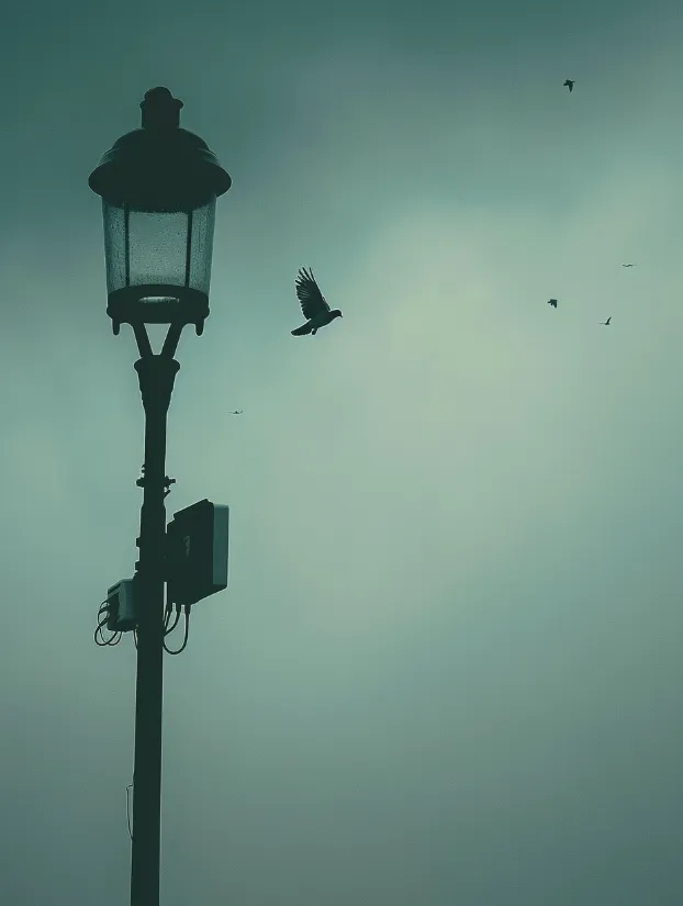 nternet routers sticking out of a lamp post with a pigeon flying by