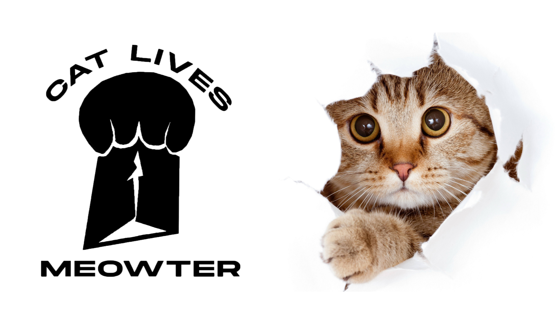 Cat Lives Meowter