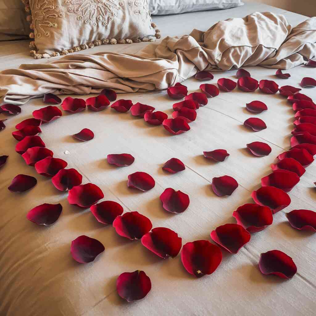 A suspiciously perfect "messy" bed with 47 rose petals mathematically distributed for maximum like potential