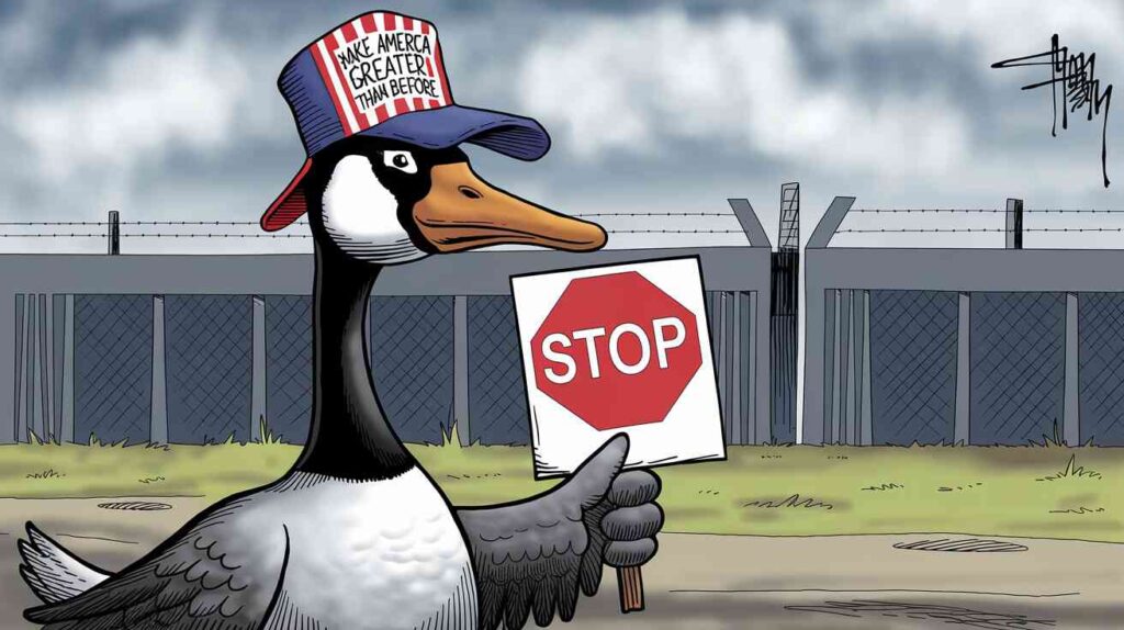 A Canadian goose wearing a "Make America Greater Than Before" hat while aggressively protecting the border